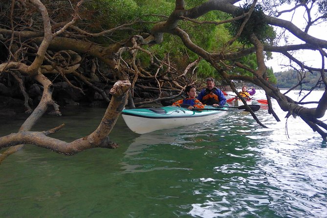Okinawa: Kayak Mangroves & Ocean Native-English Private Tour - Comfort, Clothing, and the Kayak Seat Width You Should Plan For