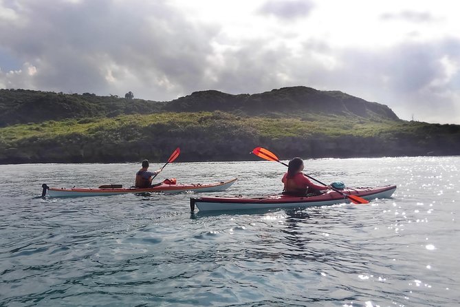 Okinawa: Kayak Mangroves & Ocean Native-English Private Tour - Meet Your Guide Energy: Nik’s Communication and Photo Help