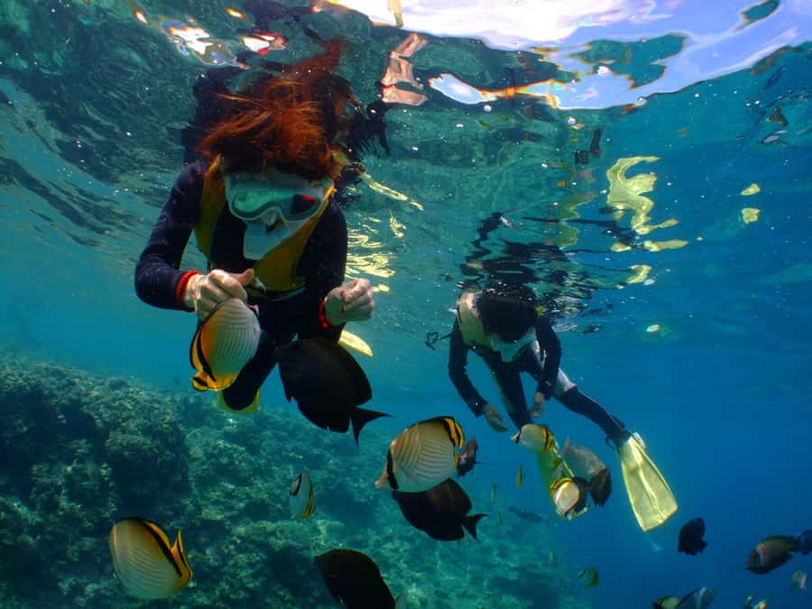 Okinawa : Kerama Whole Day Snorkeling Tour From Chatan/Naha - Key highlights at a glance