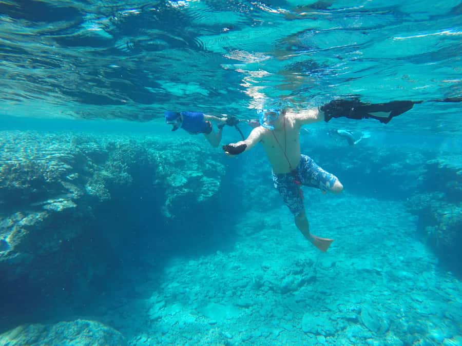 Okinawa : Kerama Whole Day Snorkeling Tour From Chatan/Naha - What each snorkeling stop feels like, and what to look for