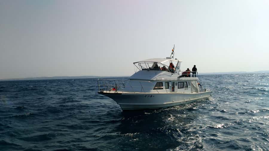 Okinawa : Kerama Whole Day Snorkeling Tour From Chatan/Naha - Safety and rules that matter: weights, ages, and mandatory gear