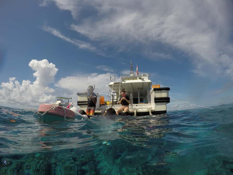 Okinawa : Kerama Whole Day Snorkeling Tour From Chatan/Naha - Chatan or Naha departure: choosing the start that fits your base