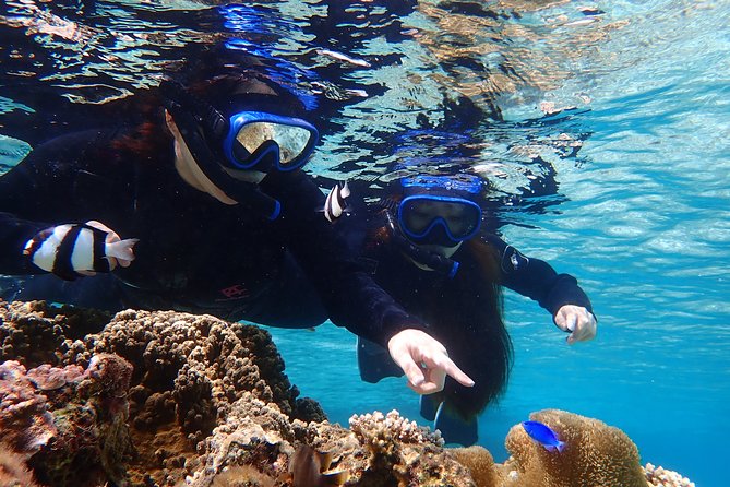 Okinawa Miyako 3set Beach SUP, Snorkeling,Pumpkin Cave,Canoeing - Snorkeling with clear visibility, plus the sea turtle bonus