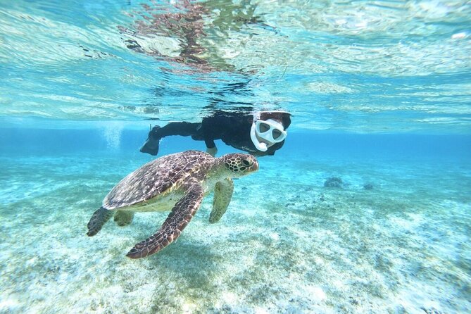 Okinawa Miyako Beach SUP or Canoe and sea turtle Snorkeling - The 6-hour schedule: sunrise or sunset plus a guided lunch break