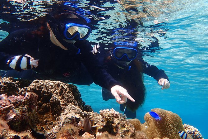 Okinawa Miyako Beach SUP or Canoe and sea turtle Snorkeling - Where you meet, how big the group is, and what to expect day-of