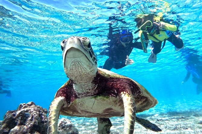 Okinawa Miyako Beach SUP or Canoe and sea turtle Snorkeling - SUP or canoe in Miyako: how to pick what fits you best