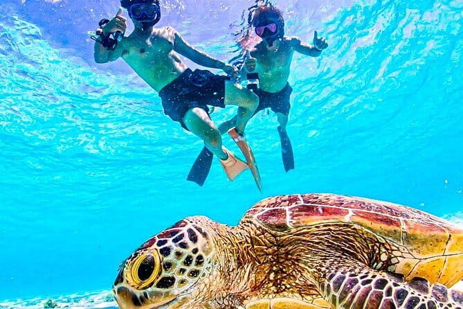 Okinawa Miyako Sea turtle Snorkeling Free Pick up and Drop off - Key Things to Know Before You Go