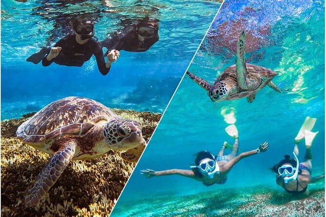 Okinawa Miyako Sea turtle Snorkeling Free Pick up and Drop off - A Two-Hour Sea Turtle Snorkeling Plan That Actually Fits Your Day
