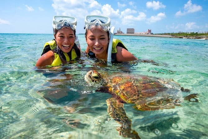 Okinawa Miyako Sea turtle Snorkeling Free Pick up and Drop off - In the Water: Sea Turtle and Clownfish Spotting in Clear Miyako Water