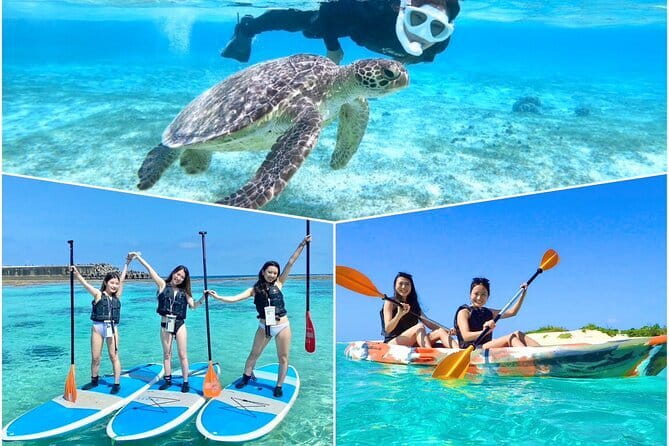 Okinawa Miyako Sea turtle Snorkeling Free Pick up and Drop off - Photos and Video: The Real Reason This Tour Feels Effortless