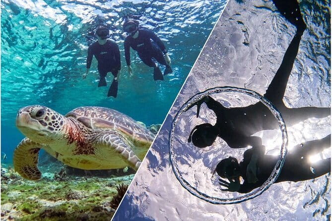Okinawa Miyako Sea turtle Snorkeling Free Pick up and Drop off - Price and Value: What $45.59 Covers in Miyakojima