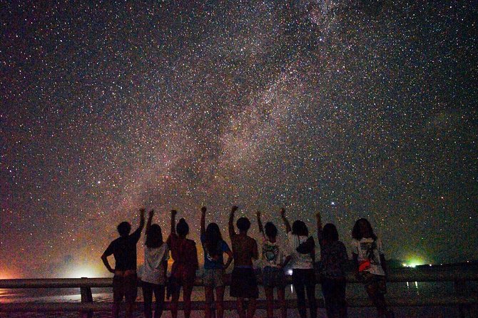 Okinawa Miyako Star Gazing & Subtropical Jungle Night Tour - Key highlights at a glance