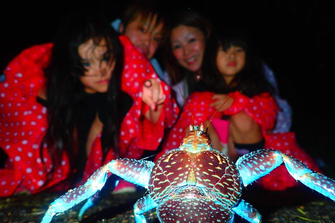 Okinawa Miyako Star Gazing & Subtropical Jungle Night Tour - Why Miyakojima nights feel special for star gazing
