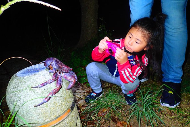 Okinawa Miyako Star Gazing & Subtropical Jungle Night Tour - What the guide adds (and why that matters in the dark)