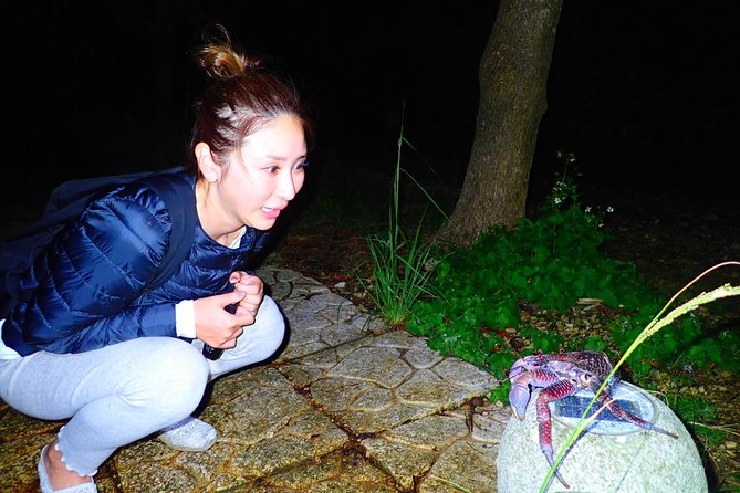 Okinawa Miyako Star Gazing & Subtropical Jungle Night Tour - Subtropical jungle night: what you’re actually hunting for