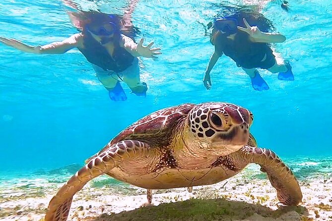 Okinawa Miyakojima 1 day Sea Turtle Snorkeling & Pumpkin Cave & Sea Kayak - Canoeing to Pumpkin Hall: Getting to the Cave by Water