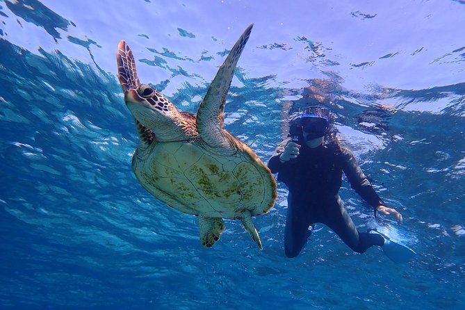Okinawa Miyakojima 1 day Sea Turtle Snorkeling & Pumpkin Cave & Sea Kayak - Photo Data Gift and Cave Photography Rules You Need to Know