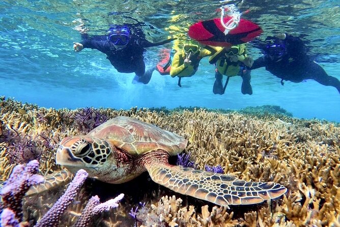Okinawa Miyakojima 1 day Sea Turtle Snorkeling & Pumpkin Cave & Sea Kayak - Price and Value Around $99: What’s Included, What Might Be Extra