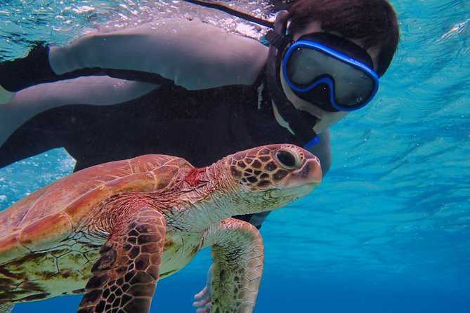 Okinawa Miyakojima Half Day SUPor Canoe & Sea Turtle Snorkeling (Half Day Set) - SUP or canoe: how to choose the right water “engine”