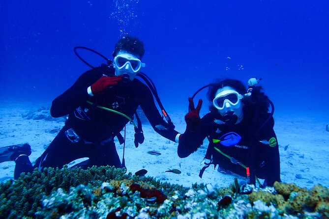 Okinawa: Scuba Diving Tour with Wagyu Lunch and English guide - Key highlights you will feel right away