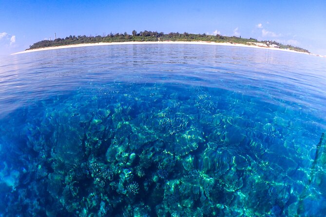 Okinawa: Scuba Diving Tour with Wagyu Lunch and English guide - A hotplate BBQ lunch at an ocean-view café, with farm produce
