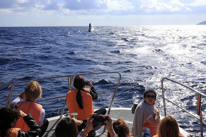 Okinawa Whale Watching From Naha - Getting from Naha to Kerama Islands without friction