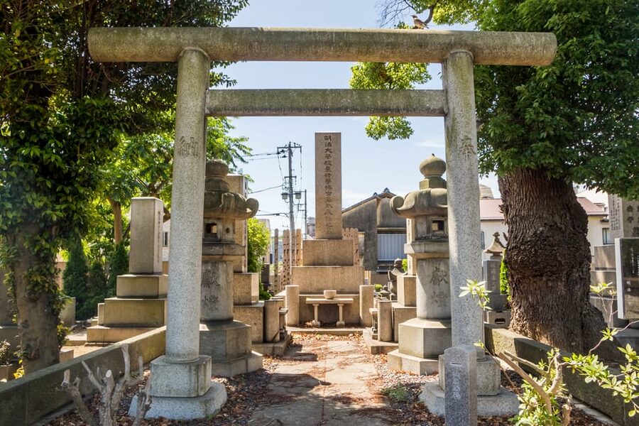 Old and Nostalgic Tokyo: Half-Day Yanaka Walking Tour - Should you book this Yanaka walking tour?