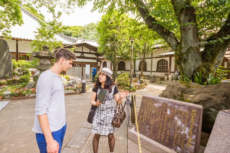Old and Nostalgic Tokyo: Half-Day Yanaka Walking Tour - Yanaka-Ginza and snack breaks when food is not included