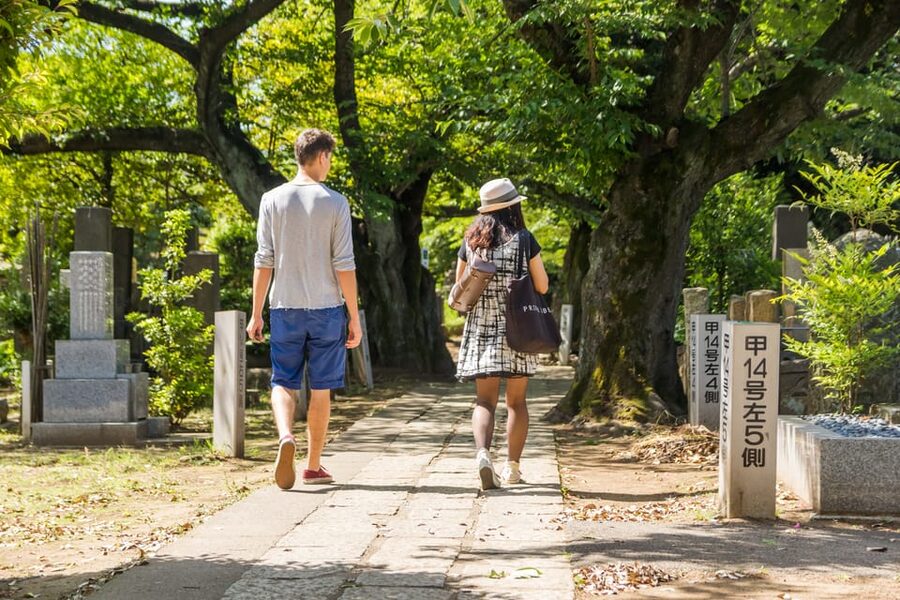 Old and Nostalgic Tokyo: Half-Day Yanaka Walking Tour - How the 3.5 hours move, and what walking feels like