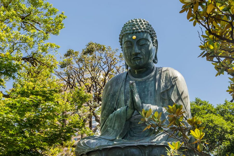 Old and Nostalgic Tokyo: Half-Day Yanaka Walking Tour - Price and value of $83 for 210 minutes with a small group
