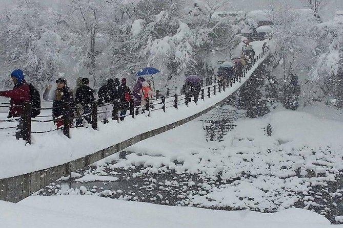 [One-day bus tour departing from Kanazawa Station] Shirakawa-go/Takayama tour platinum route bus tour - Key points to know before you go