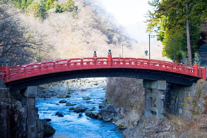 One Day Private Tour Nikko Tochigi only for Your Family by car - Kegon Falls: timing your big nature moment without transit stress