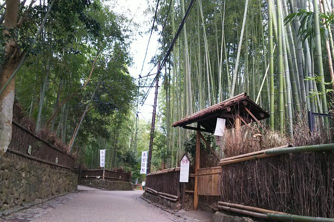 One-Day Walking Tour : Enjoy Kyoto to the fullest! - Stop 4: Fushimi Inari Taisha’s Torii Tunnel