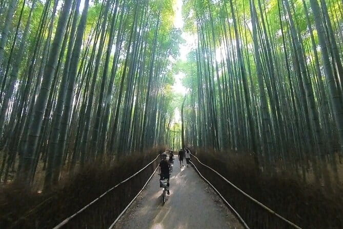 ONLY YOU in the Bamboo Forest! 4 hours E-bike tour with a local - Stop-by-stop through Arashiyama Bamboo Forest and the temple approach