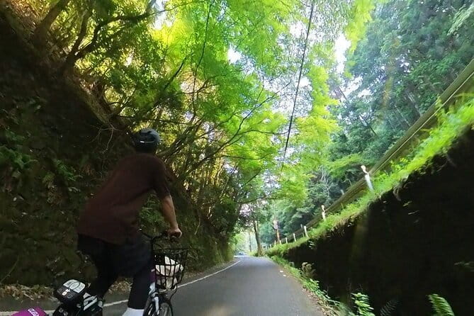 ONLY YOU in the Bamboo Forest! 4 hours E-bike tour with a local - Getting started at Arashiyama Station, and settling into the bike