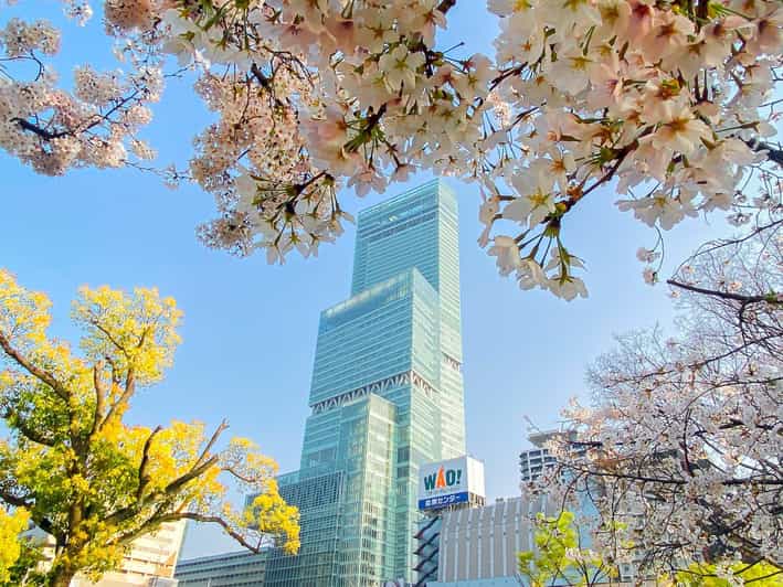 Osaka: Abeno Harukas 300 Observatory E-Ticket - 58F Outdoor Gardens and the Calm Break Above the City