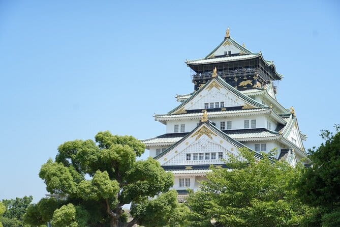 Osaka Castle Walking Tour - Osaka Castle, from the right angles in about an hour