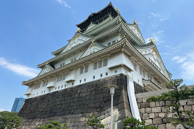 Osaka Castle Walking Tour and Castle Tower Admission - Hokoku Shrine and Toyokuni Shrine: Hideyoshi’s story in 30 minutes