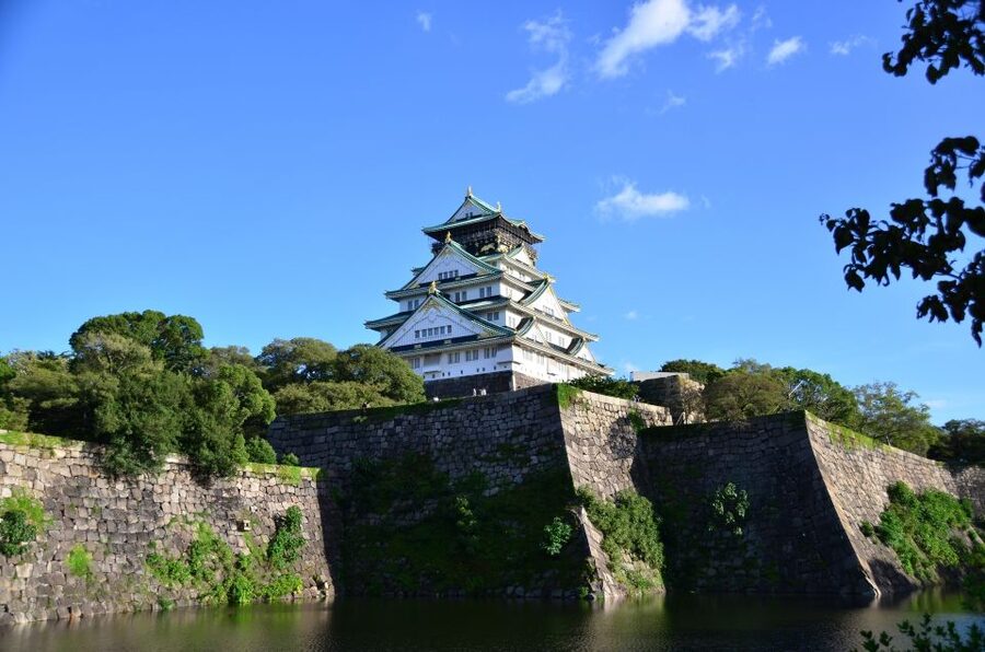 Osaka: Full-Day Sightseeing Tour by Private Vehicle - Why Osaka feels different when someone maps the day for you