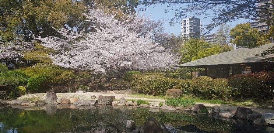 Osaka: Full-Day Sightseeing Tour by Private Vehicle - Shinsekai and Osaka street culture that hits in the small details