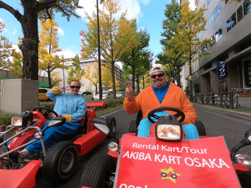 Osaka: Guided Go Karting Tour in a Funny Costume - Costumes and Photos, How to Look Cool Without Getting in Trouble