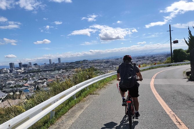 Osaka Half-day E-bike Adventure: Minoh Falls & Katsuoji Temple - Key things that make this ride special