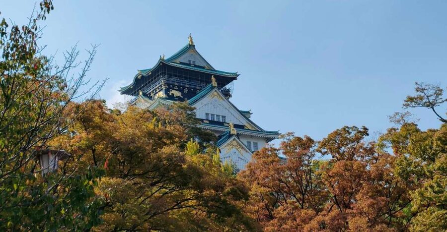 Osaka: Half-day Ultimate Highlights Guided Walking Tour - Key Highlights You Will Actually Feel