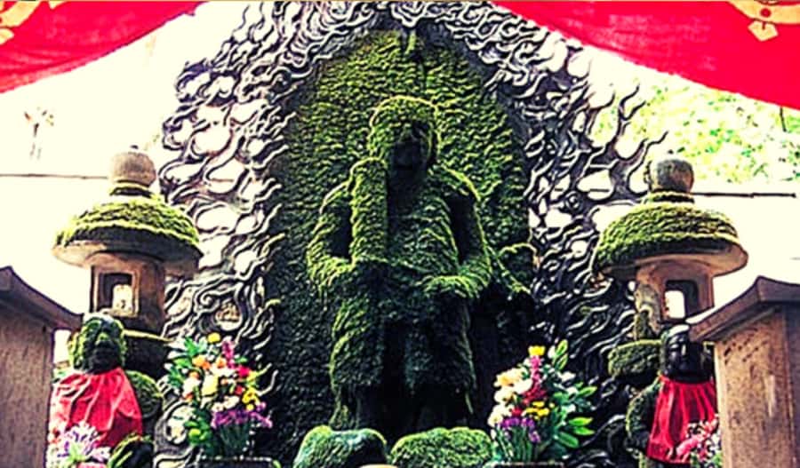 Osaka: Hotspots & Hidden Gems Walking Tour Private or Group - Dotonbori river glow, takoyaki, and a quick win for your first night