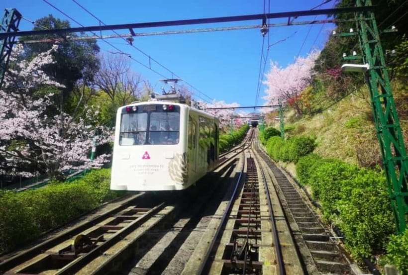 Osaka/Kyoto: Amanohashidate & Miyama Tour with Boat & Lunch - Kasamatsu Park, the cable car, and the flying dragon view