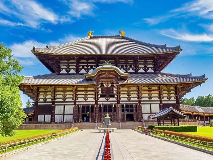 Osaka/Kyoto: Arashiyama, Nara & Fushimi Inari Shrine w/Lunch - Nara Park and Todai-ji: deer encounters, then the big wooden Buddha