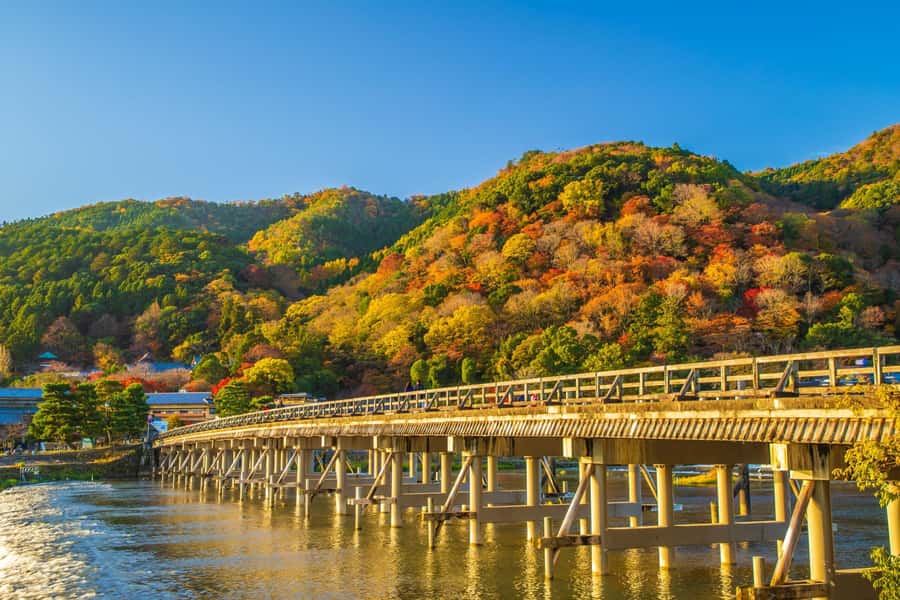 Osaka/Kyoto: Arashiyama, Nara & Fushimi Inari Shrine w/Lunch - Price and logistics: does $61 feel fair?