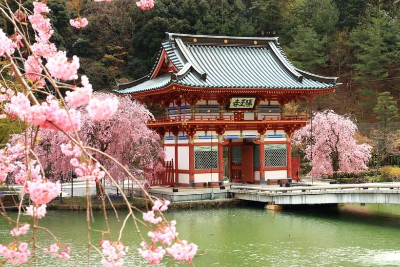Osaka/Kyoto: Katsuoji, Kinkakuji, Arashiyama 1-Day Bus Tour - Katsuo-ji Temple: the Daruma wish you can actually participate in