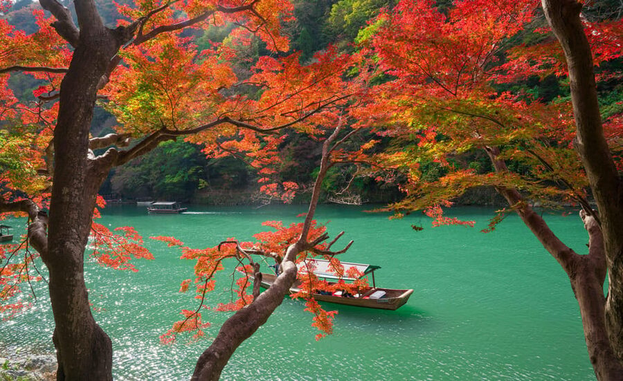 Osaka/Kyoto: Katsuoji, Kinkakuji, Arashiyama 1-Day Bus Tour - Kimono Forest: colorful columns that make photography easy