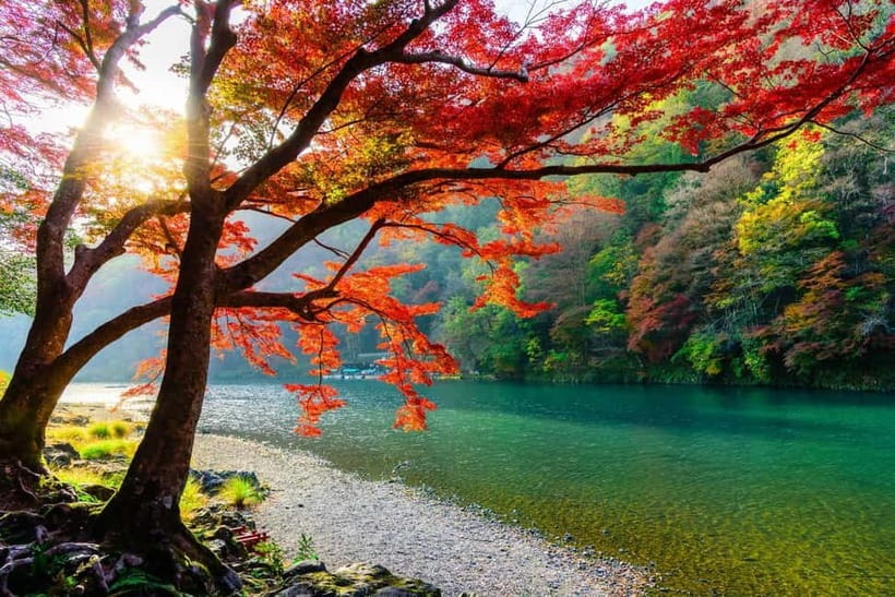 Osaka/Kyoto: Katsuoji, Kinkakuji, Arashiyama 1-Day Bus Tour - Togetsukyo Bridge: classic Oi River Kyoto in one viewpoint